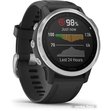 Умные часы Garmin Fenix 6s (серебристый/черный)