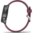 Умные часы Garmin Forerunner 245 (вишневый)
