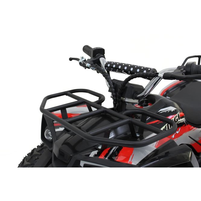 Квадроцикл IKINGI K6 заказать