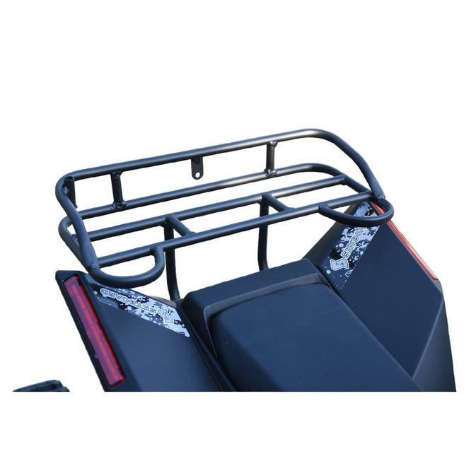 Детский квадроцикл Skyboard CyberTruck Sibir Kids заказать