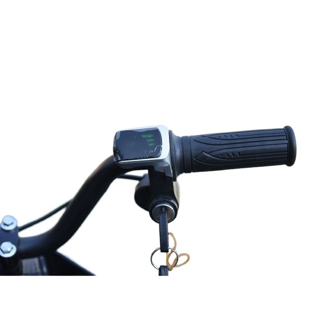 Детский квадроцикл Skyboard CyberTruck Sibir Kids заказать