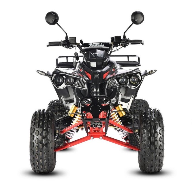 Квадроцикл White Siberia Sneg Pro R 3000W заказать