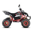 Квадроцикл White Siberia Sneg Pro R 3000W