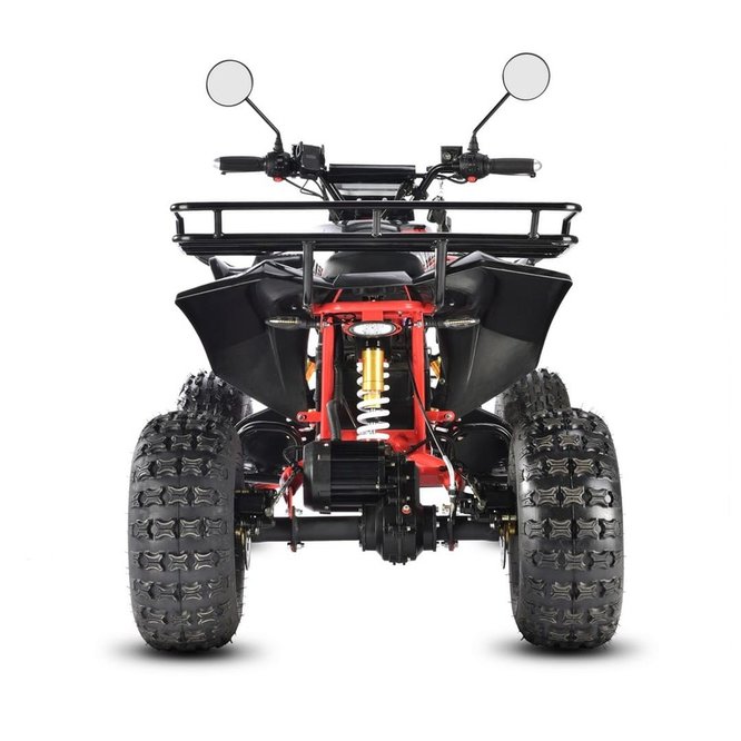 Квадроцикл White Siberia Sneg Pro R 3000W заказать
