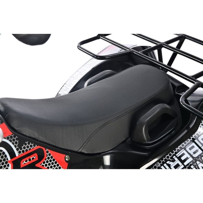 Квадроцикл White Siberia Sneg Pro R 3000W заказать