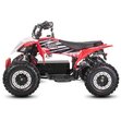 Детский квадроцикл White Siberia Leto R Red
