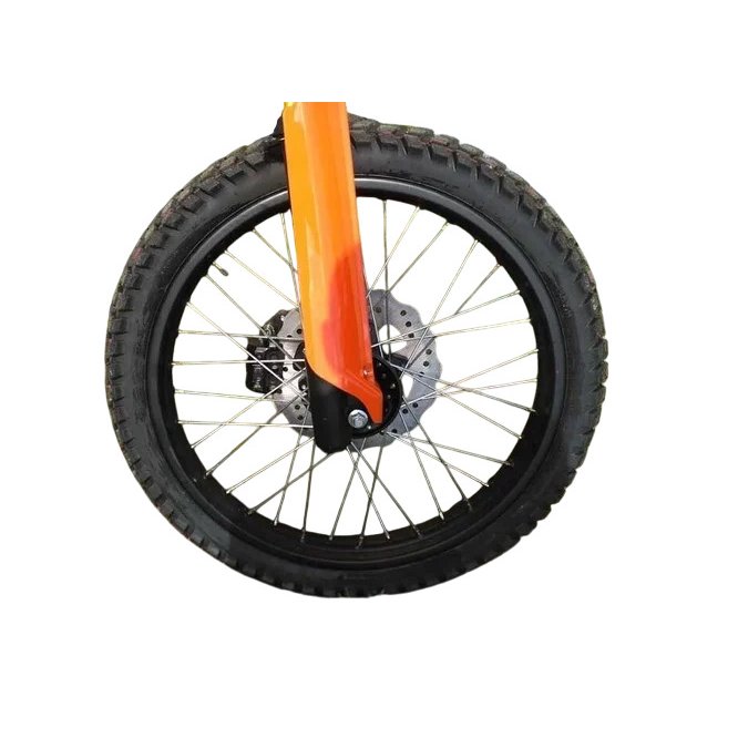 Мотоцикл Эндуро Минск X 250 (M1NSK X250) заказать