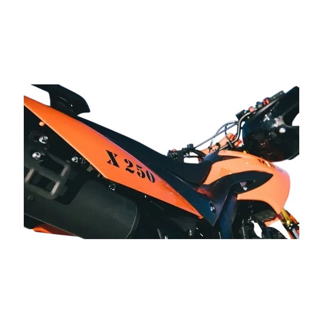 Мотоцикл Эндуро Минск X 250 (M1NSK X250) заказать
