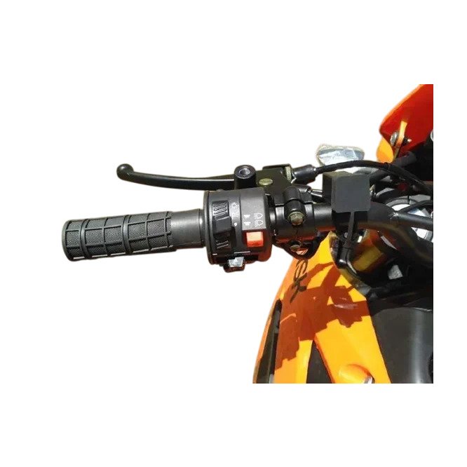 Мотоцикл Эндуро Минск X 250 (M1NSK X250) заказать