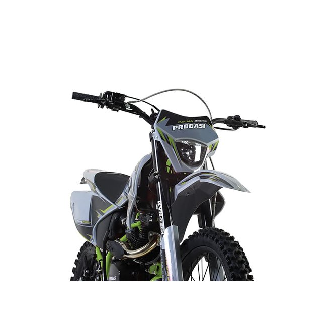 Мотоцикл эндуро PROGASI PALMA 250 SE (жёлтый) заказать