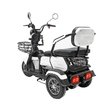 Электроскутер CityCoCo TRIKE GT EV-3