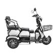 Электроскутер CityCoCo TRIKE GT EV-3