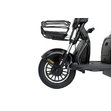 Электрический трицикл IKINGI SibTrike T3 (черный)