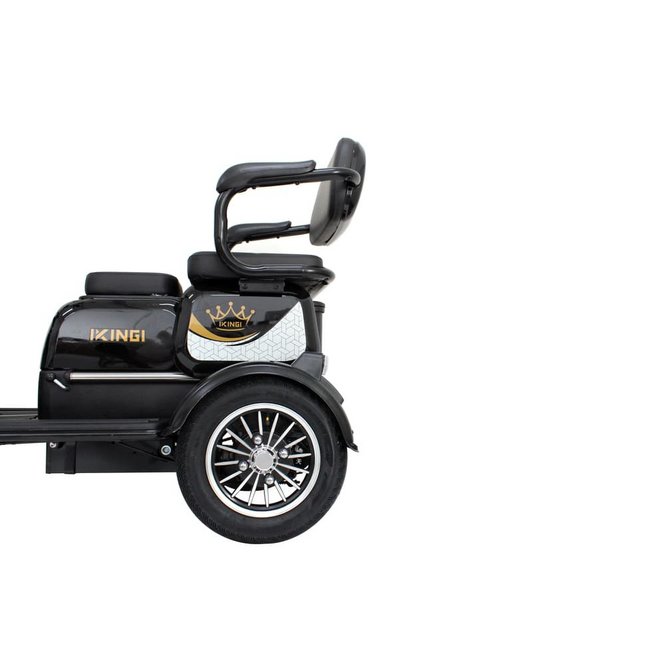 Электрический трицикл IKINGI SibTrike T3 (черный) заказать