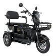 Электрический трицикл IKINGI SibTrike T3 (черный)