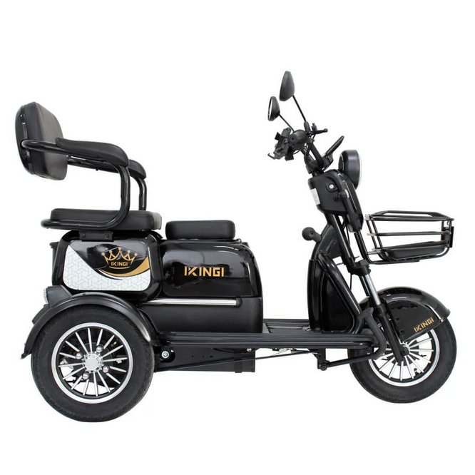 Электрический трицикл IKINGI SibTrike T3 (черный) заказать