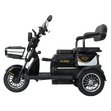 Электрический трицикл IKINGI SibTrike T3 (черный)