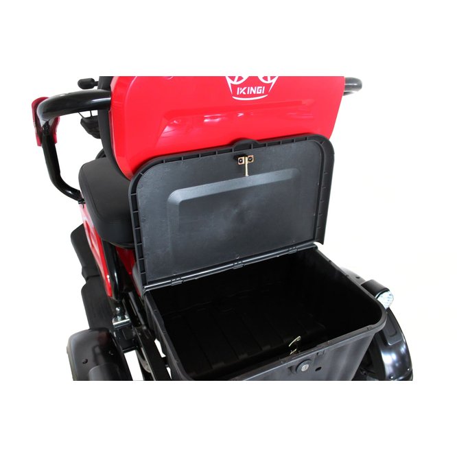 Электрический трицикл IKINGI SibTrike 115 К заказать