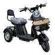 Электрический трицикл IKINGI SibTrike T1