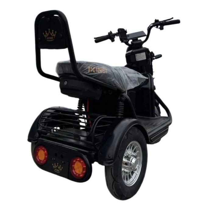 Электрический трицикл IKINGI SibTrike T1 заказать