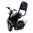Электрический трицикл IKINGI SibTrike T1