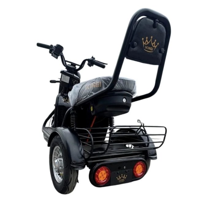 Электрический трицикл IKINGI SibTrike T1 заказать