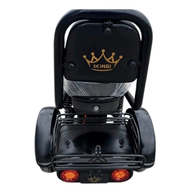 Электрический трицикл IKINGI SibTrike T1 заказать