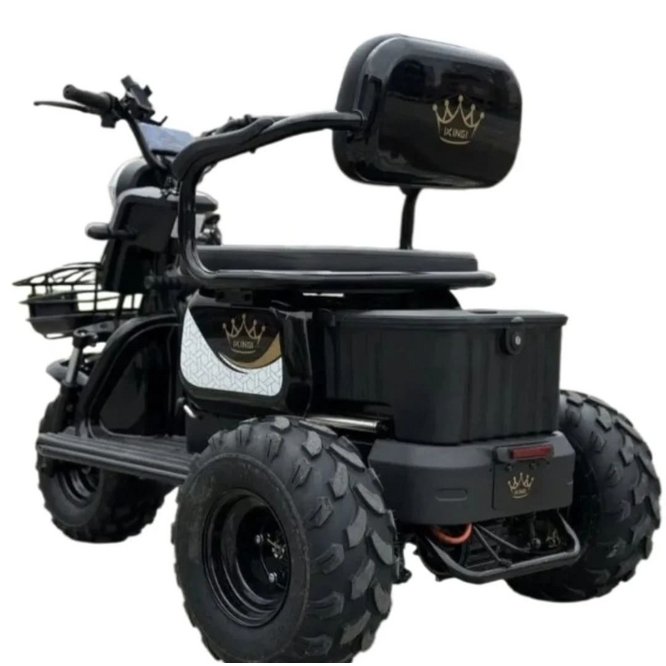 Электрический трицикл IKINGI SibTrike T3 заказать