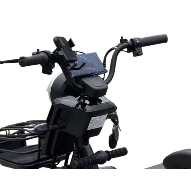 Электрический трицикл IKINGI SibTrike T3 заказать