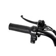 Электрический трицикл IKINGI SibTrike T5