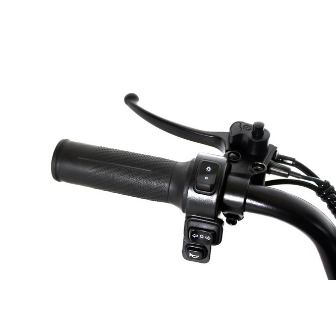 Электрический трицикл IKINGI SibTrike T5 заказать