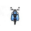 Электрический трицикл IKINGI SibTrike T5