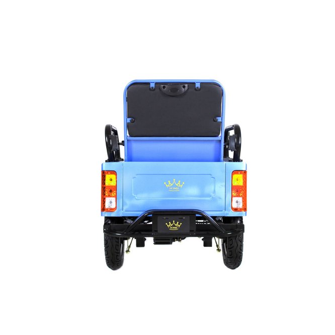Электрический трицикл IKINGI SibTrike T5 заказать