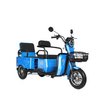 Электрический трицикл IKINGI SibTrike T5