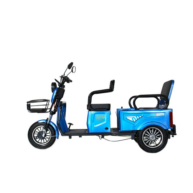 Электрический трицикл IKINGI SibTrike T5 заказать