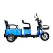 Электрический трицикл IKINGI SibTrike T5