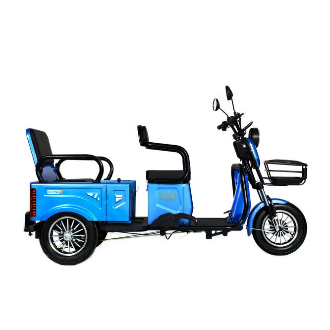 Электрический трицикл IKINGI SibTrike T5 заказать
