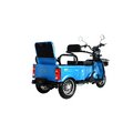 Электрический трицикл IKINGI SibTrike T5