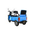 Электрический трицикл IKINGI SibTrike T5