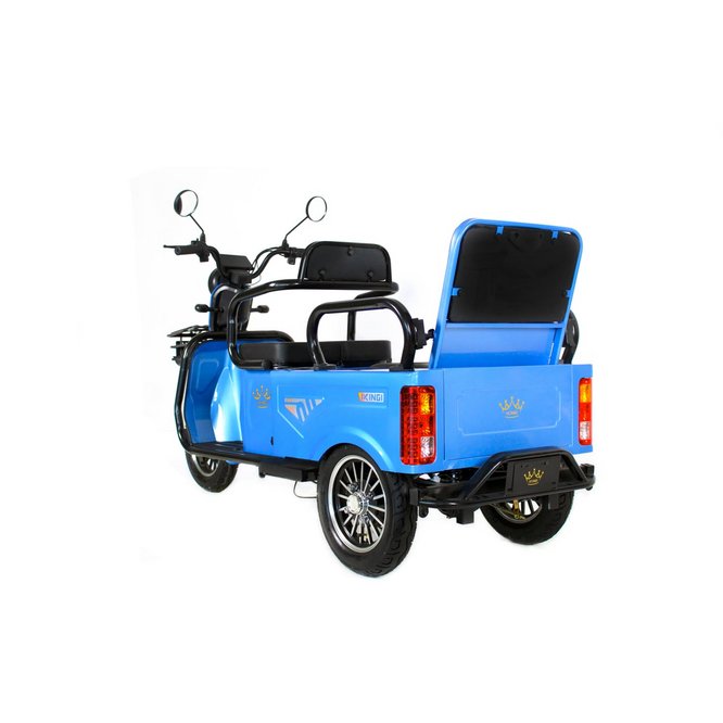 Электрический трицикл IKINGI SibTrike T5 заказать