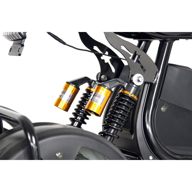 Электроскутер IKINGI Citycoco X1 Pro Trike 2025 заказать