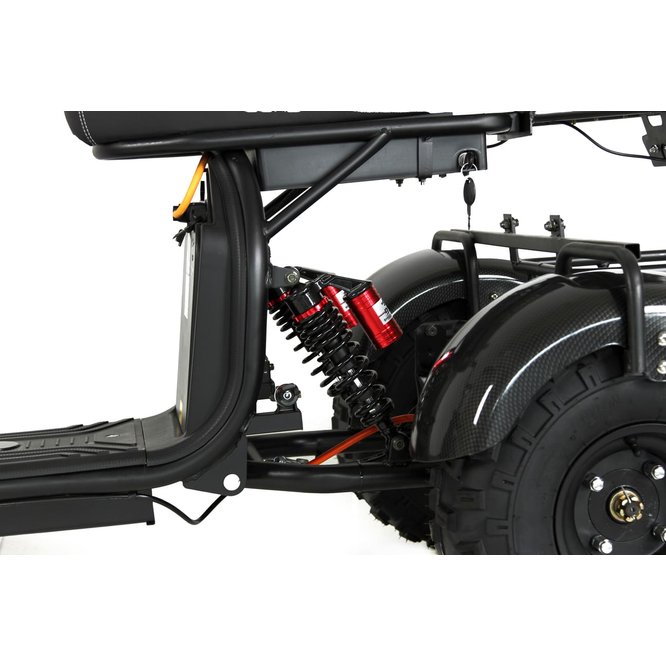 Электроскутер Citycoco X7 PRO TRIKE IKINGI 3000w (2025) заказать