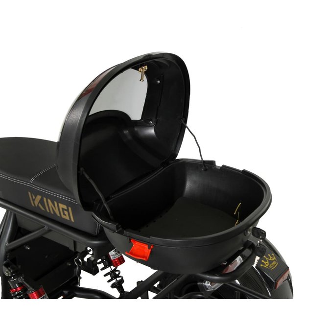 Электроскутер Citycoco X7 PRO TRIKE IKINGI 3000w (2025) заказать