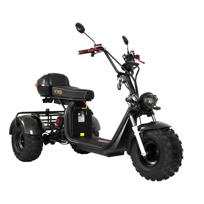 Электроскутер Citycoco X7 PRO TRIKE IKINGI 3000w (2025) заказать