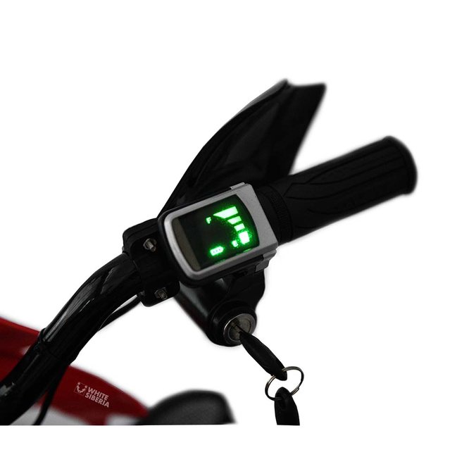 Электроснегокат детский WHITE SIBERIA BELЁК 800W (красный) заказать