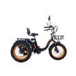 Электровелосипед Kugoo Trike