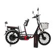 Электровелосипед Smart Balance Fiesta 2024