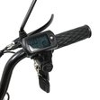 Электровелосипед Smart Balance Fiesta 2024