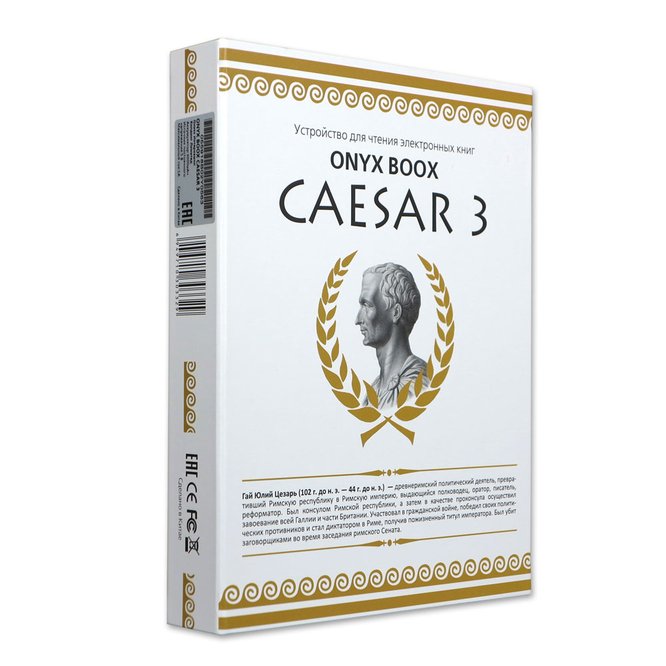 Электронная книга Onyx BOOX Caesar 3 заказать