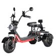 Электроскутер White Siberia Trike Mini 1500W (черный)